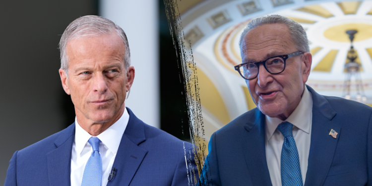 Thune calls out ‘two Americas’ as Democrats refuse to stand for war heroes, law enforcement at SOTU