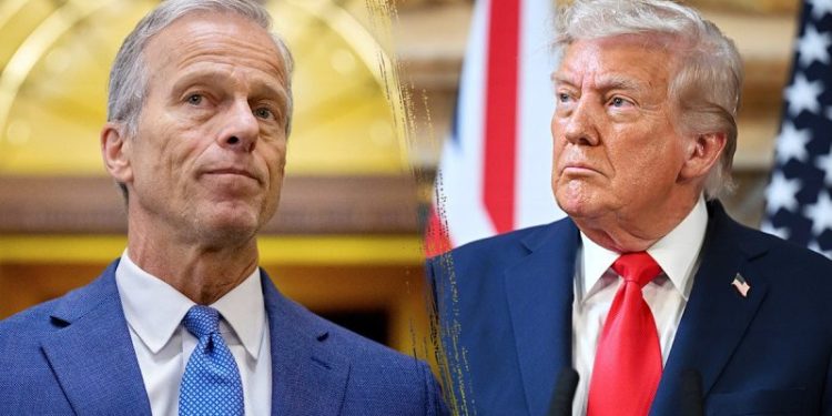 Republicans, Trump run into Senate roadblock on voter ID bill